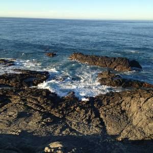 Meet your Posher, Alison